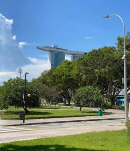 subsidy for locals in Singapore